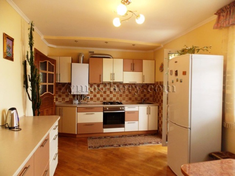 Apartment in Truskavets – kitchen