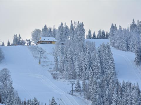 Private house "Carpathian Fiesta" in Tukholka