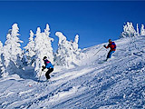Kobyletska Poliana. Carpatians. Ski resorts